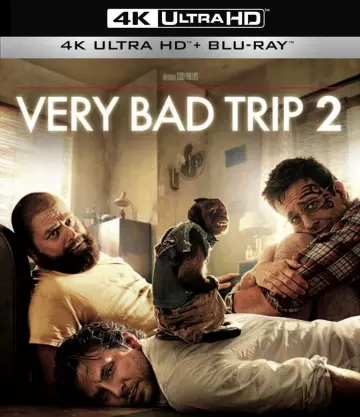 Very Bad Trip 2