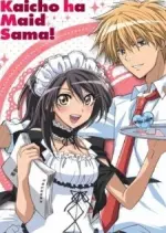 Maid Sama LaLa Special - Saison 1