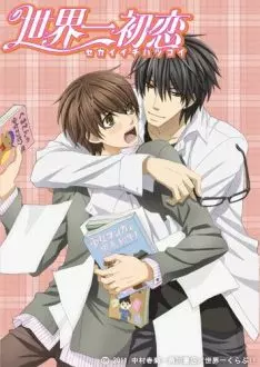 Sekaiichi Hatsukoi - Saison 1