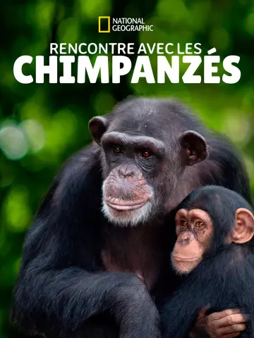 Rencontre avec les chimpanzés - Saison 1