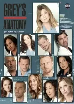 Grey's Anatomy - Saison 8